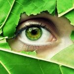 green eyes