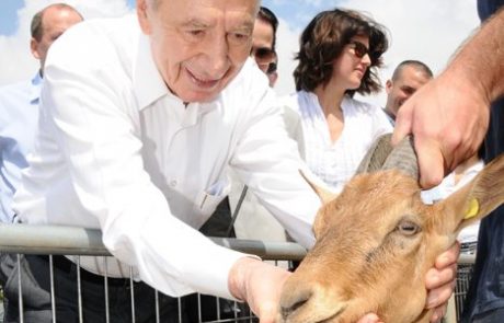 מסמך הר פז בושל ע"י שמעון פרס עבור בני גנץ וגבי אשכנזי