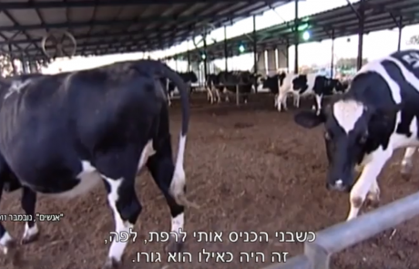 כולם ידעו שבני גנץ היה מלך הכיתה והשליפה