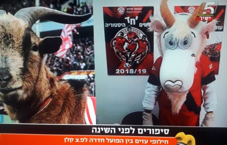 חילופי עזים בכדורגל הישראלי